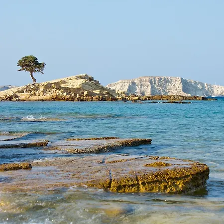 Katerina 利普西島